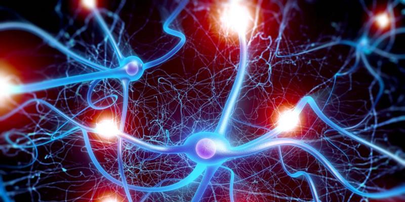 Intelligenze e capacità manageriali nell’era delle NEUROSCIENZE